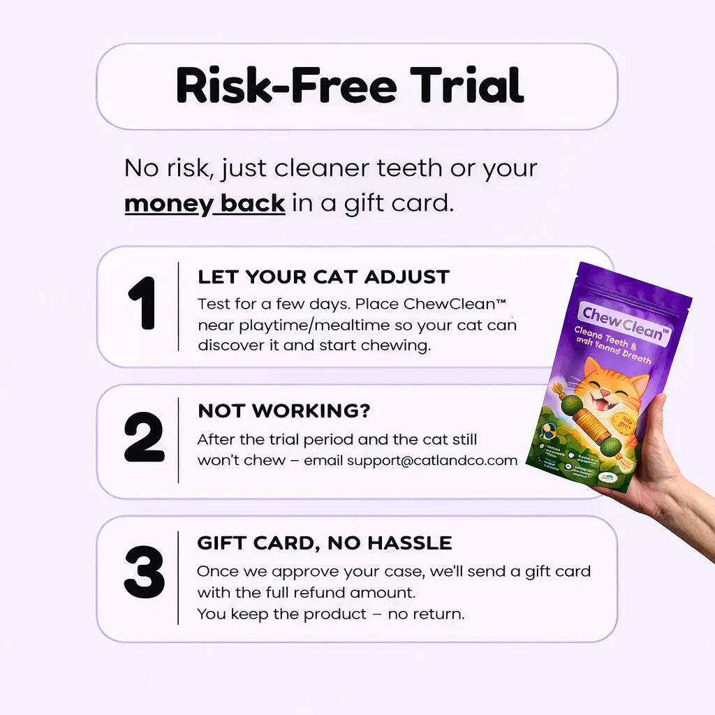 ChewClean™ Dental Stick for Cats – Cleans Teeth in Seconds Through Fun Play (4-Pack)