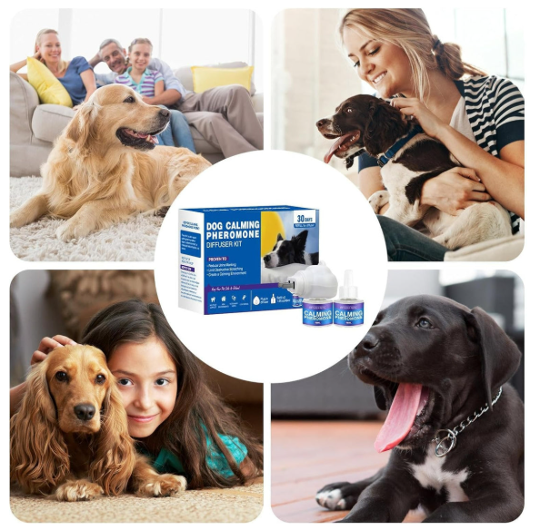 Pawz boutique - Stop The Pee Calming Formula (50% OFF Limited Time)