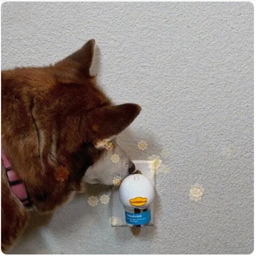 Pawz boutique - Stop The Pee Calming Formula (50% OFF Limited Time)